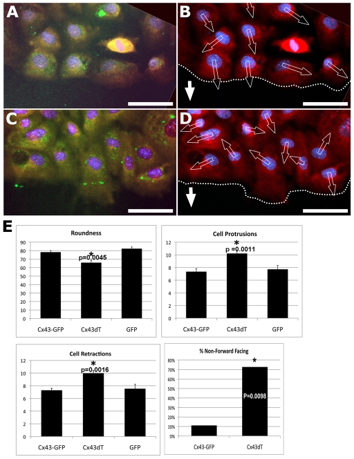 Fig. 8.