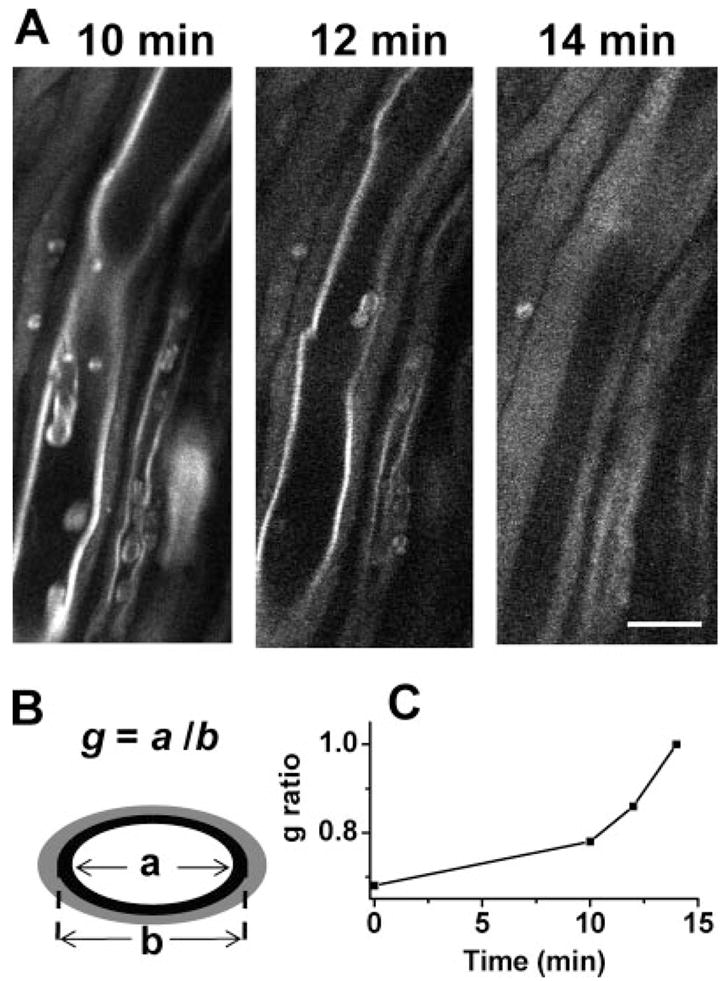 Fig. 3