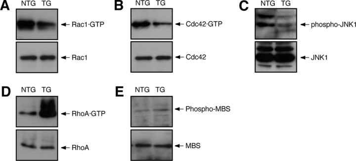 Figure 12.