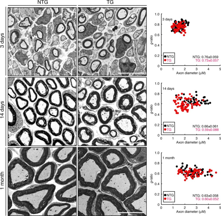 Figure 10.