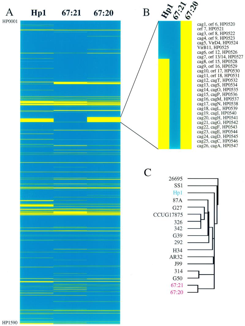 FIG. 2