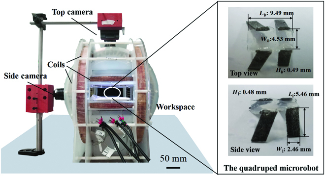 Fig. 6.