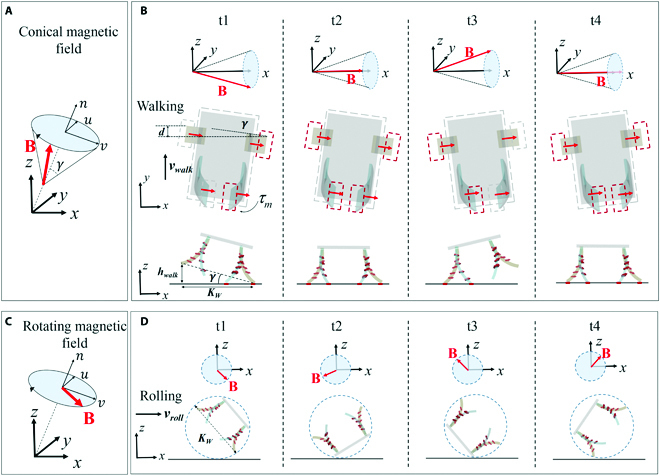 Fig. 4.