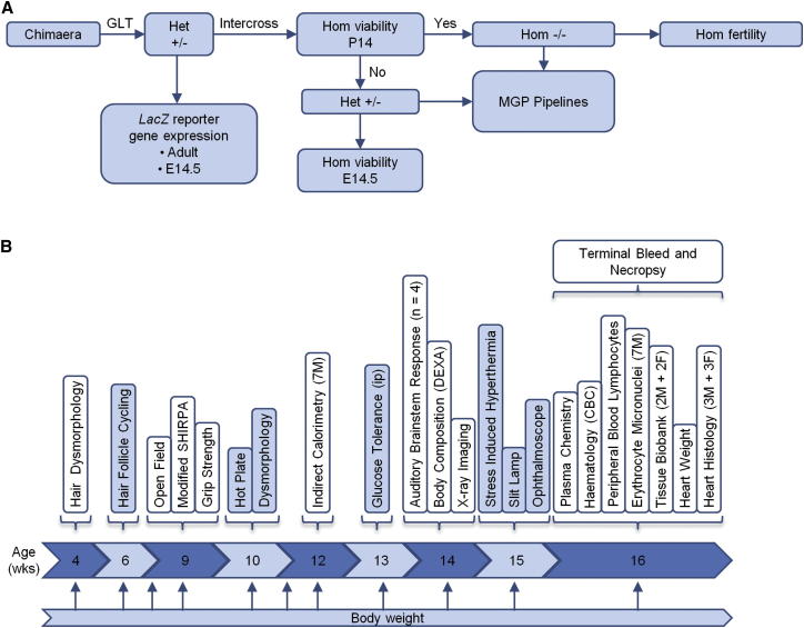 Figure 1