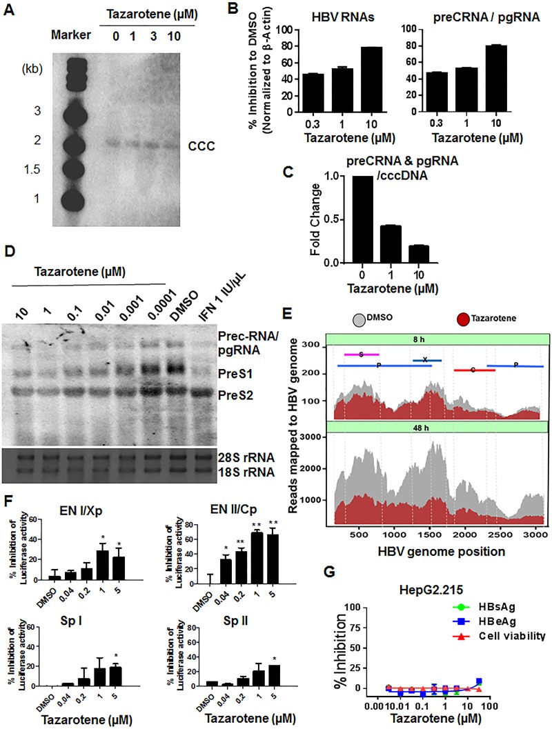 FIG 3