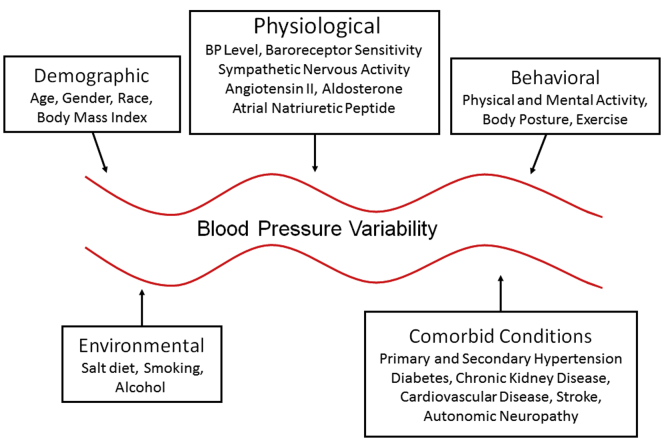 Figure 1