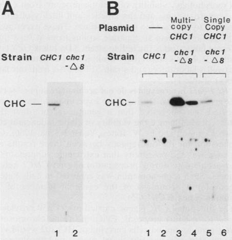 graphic file with name molcellb00083-0037-a.jpg