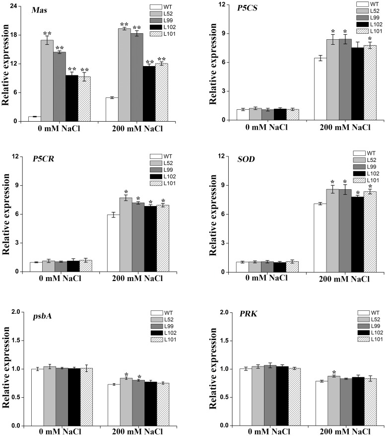 Figure 11