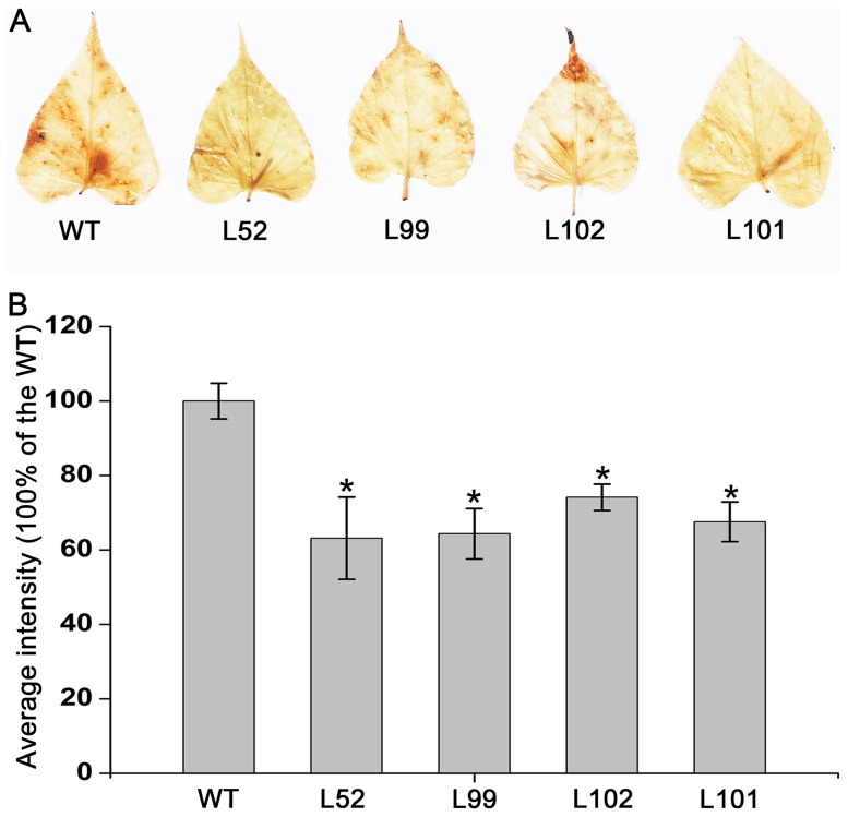 Figure 10