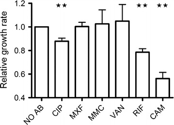 Fig. 4