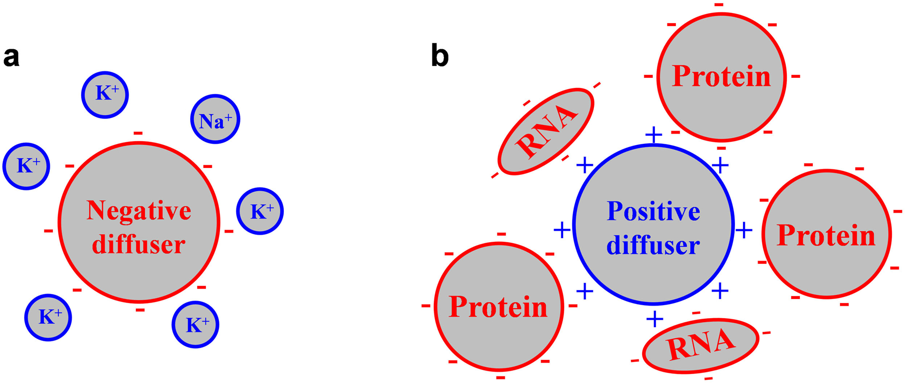 Extended Data Fig. 6