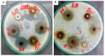 Figure 12