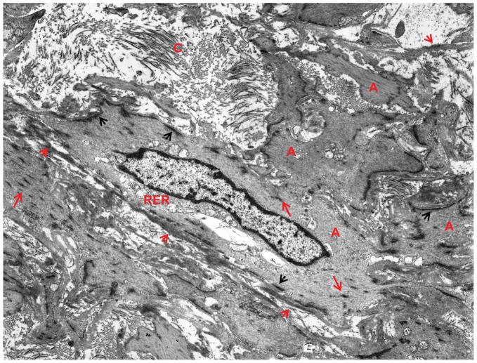 Figure 15