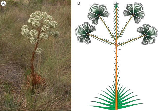 Fig. 3.