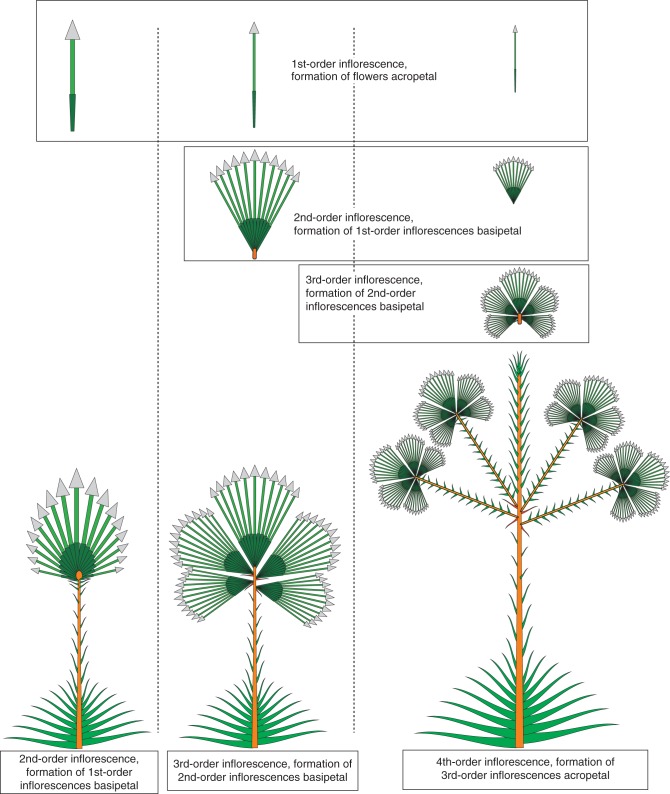 Fig. 9.