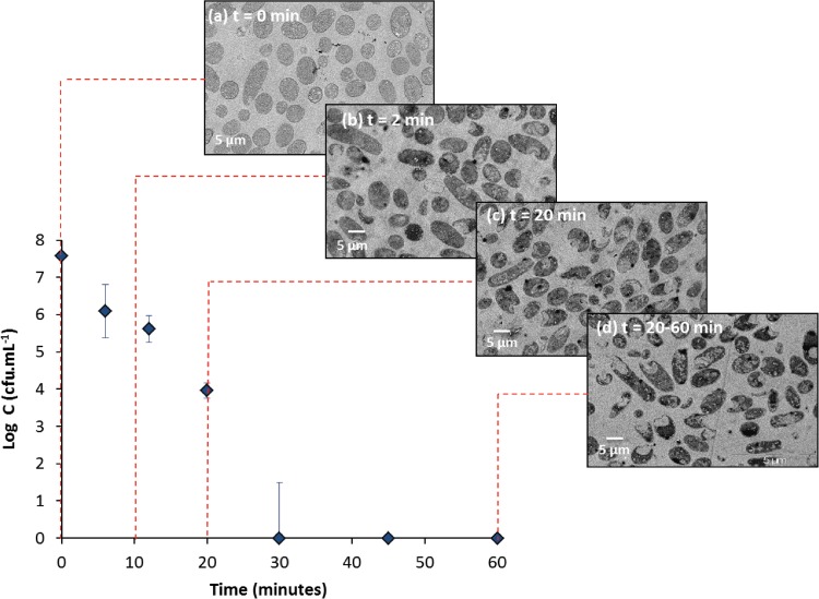 FIG 3