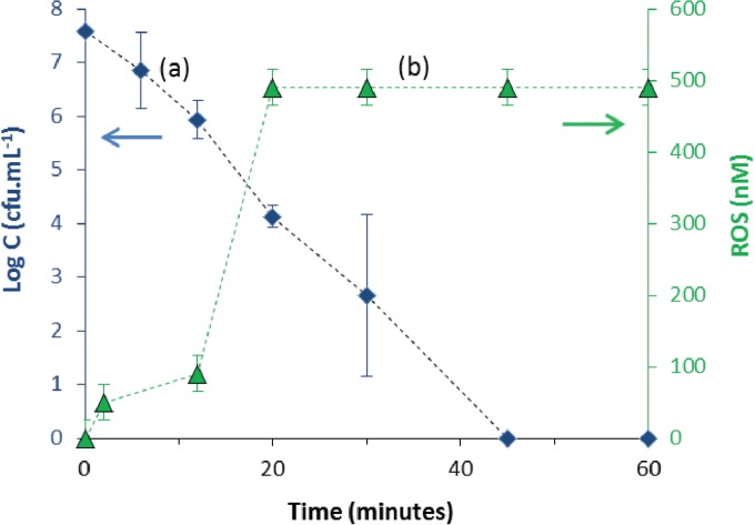 FIG 2