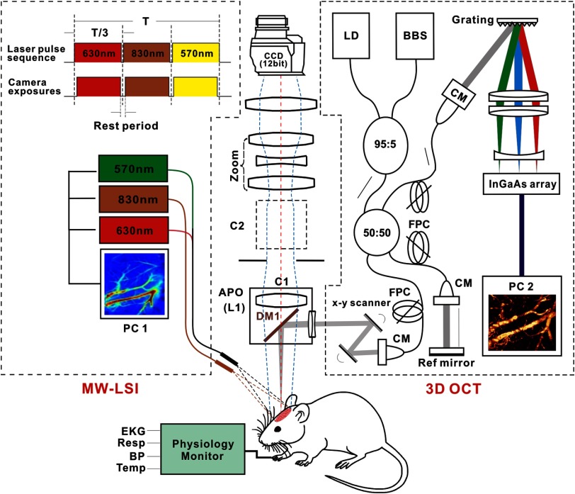 Fig. 1