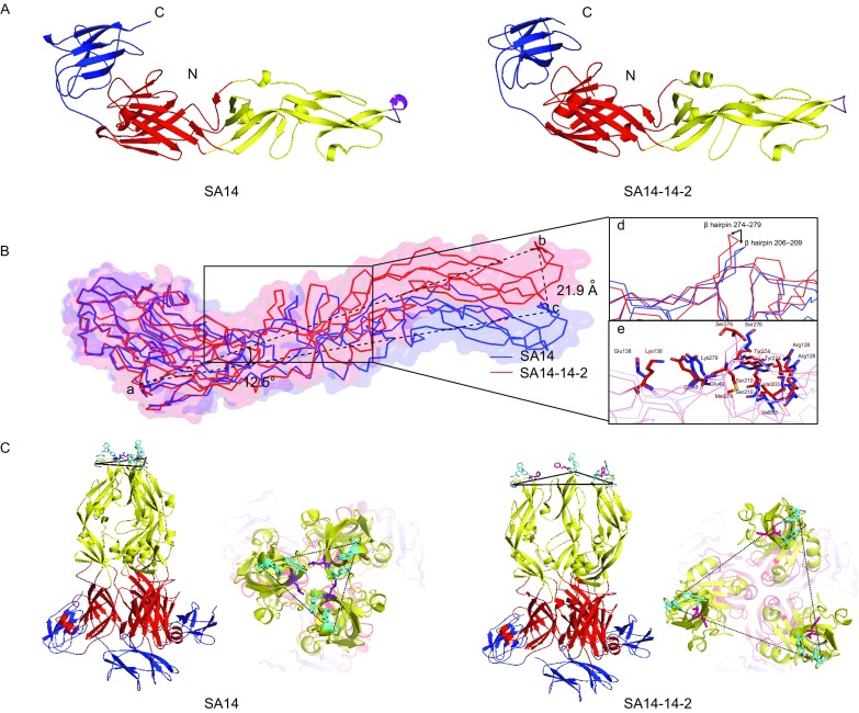 Figure 1