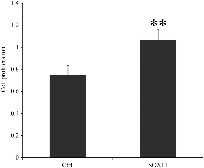 Figure 9