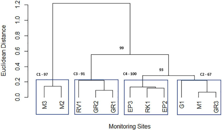 FIGURE 5