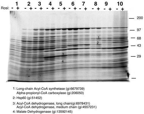 FIG. 10.