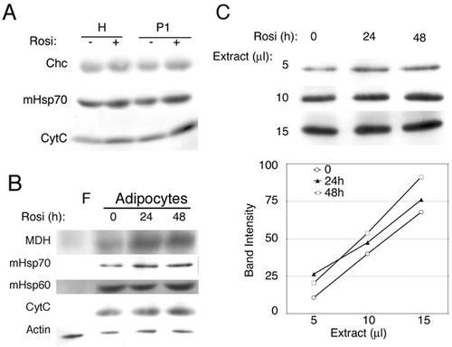 FIG. 9.