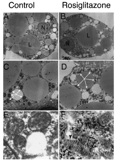 FIG. 8.