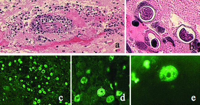 FIG. 4.