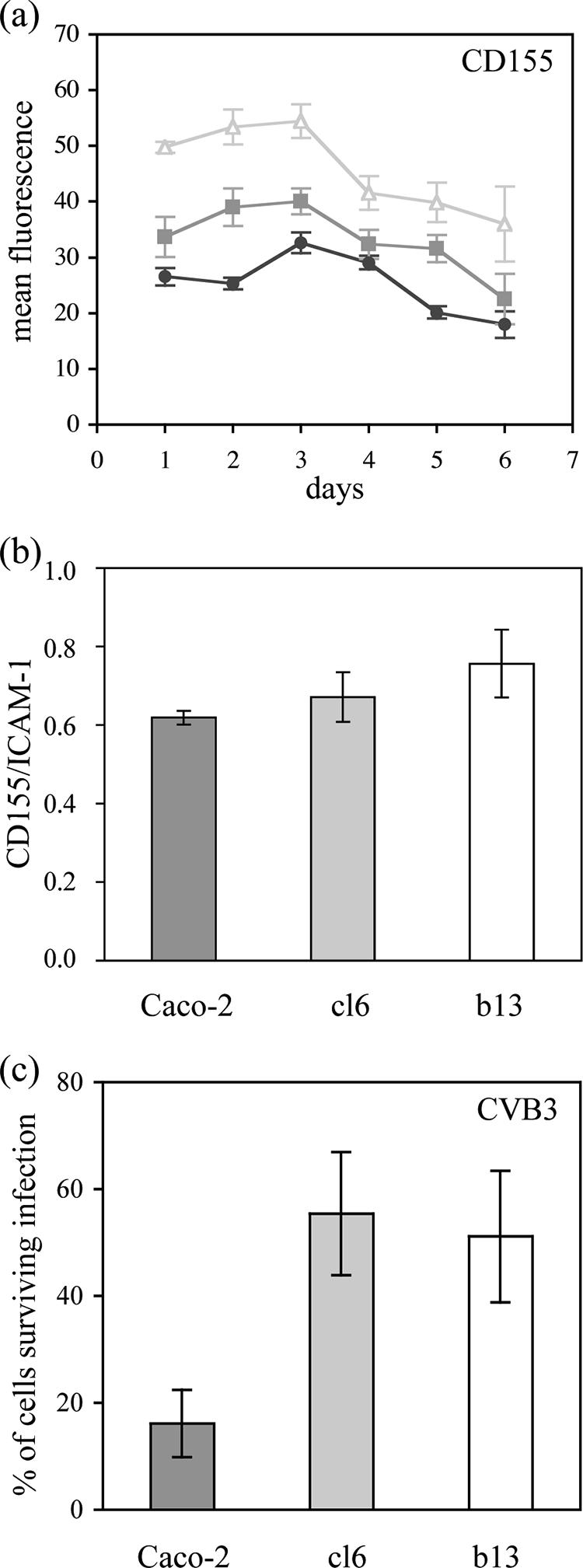 FIG. 2.