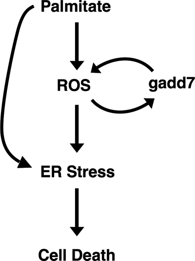 FIGURE 10.