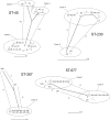 FIG 3