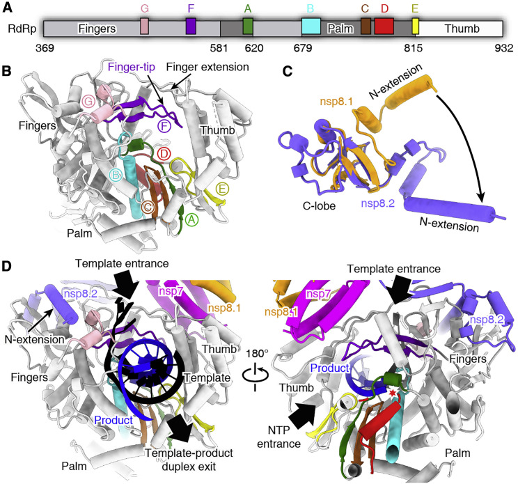 Figure 3