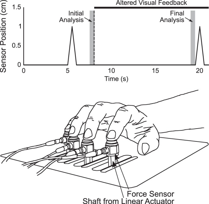 Fig. 1.