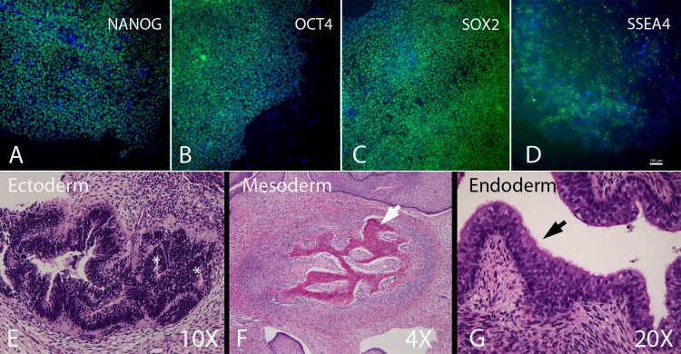 Fig 4