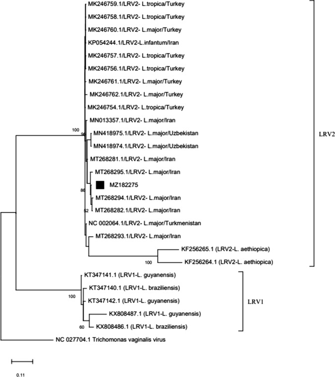 Fig. 5