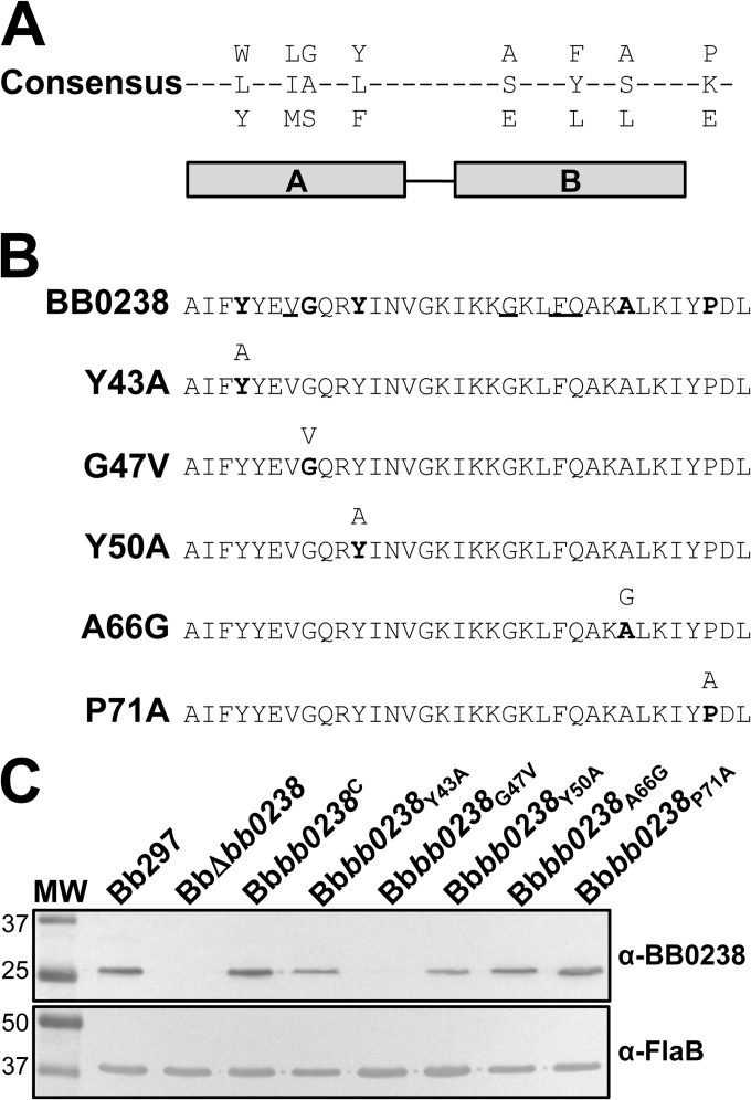 FIG 9