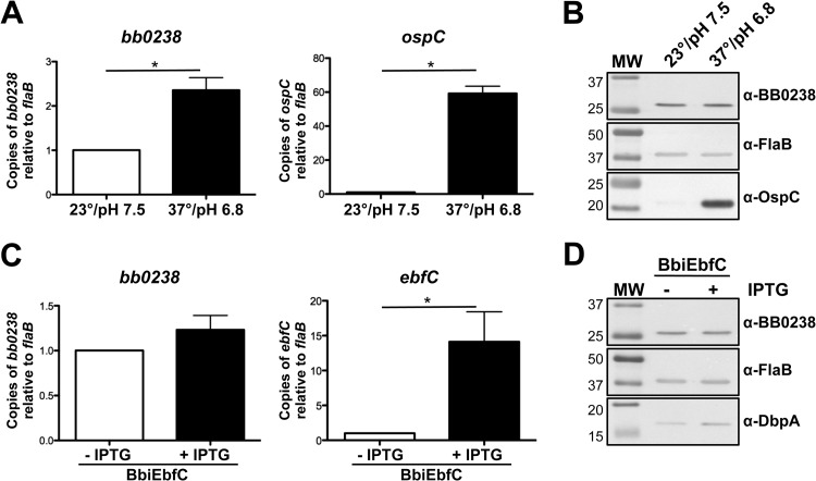 FIG 6