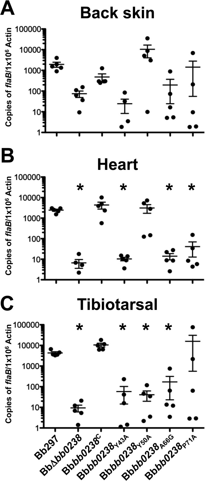 FIG 10