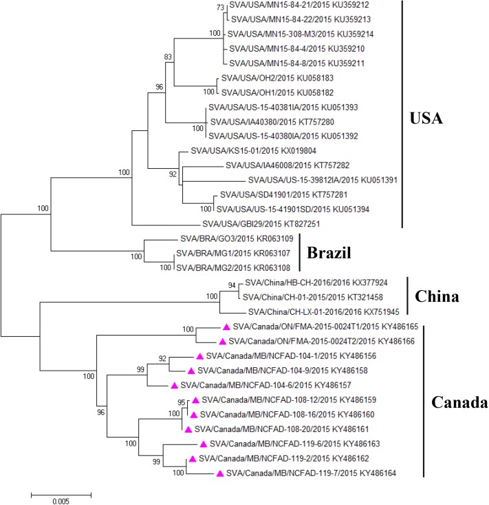 Fig 4