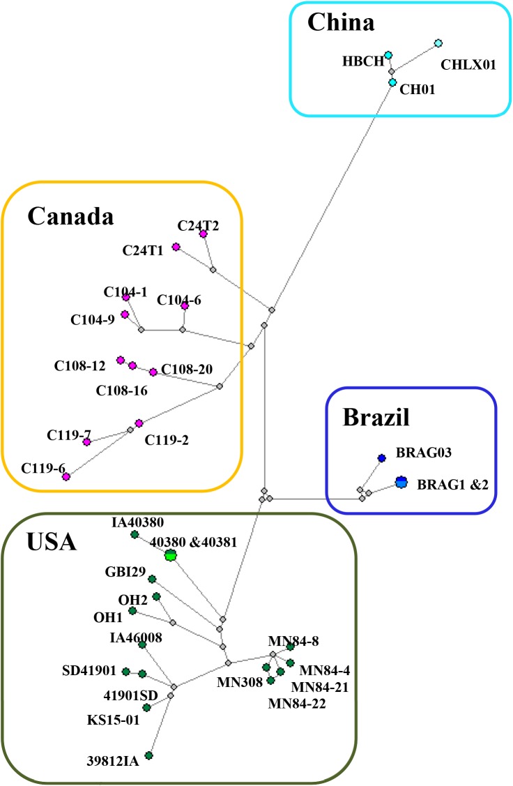 Fig 5