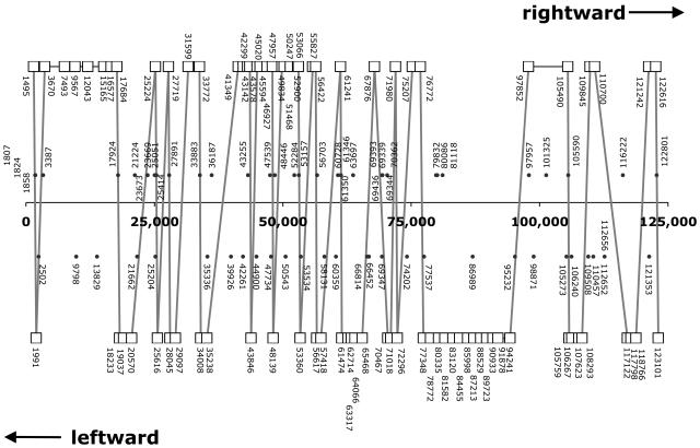 FIG. 7.