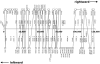 FIG. 7.