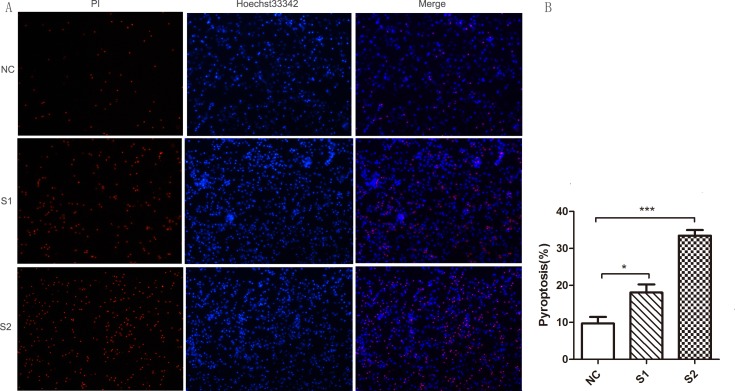 Figure 6