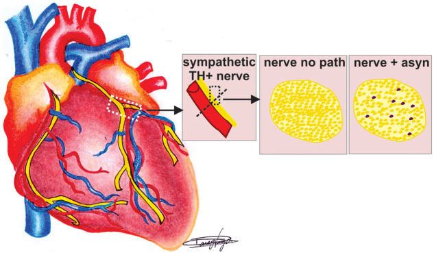 Graphical Abstract