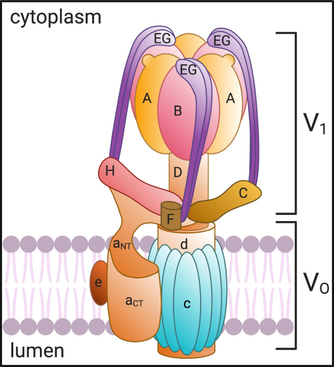 Figure 1.