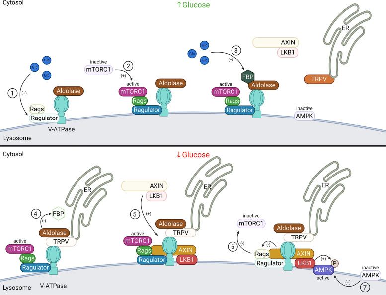 Figure 10.