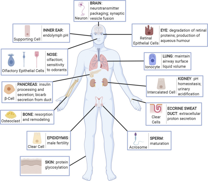 Figure 2.