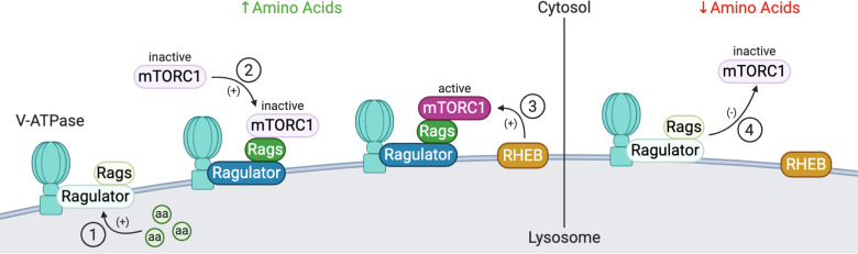 Figure 9.