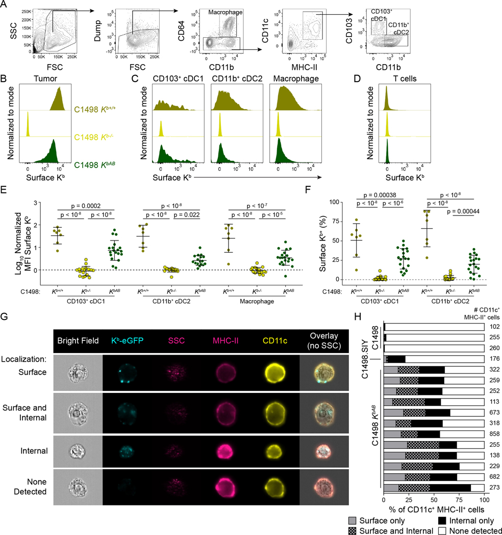 Figure 4: